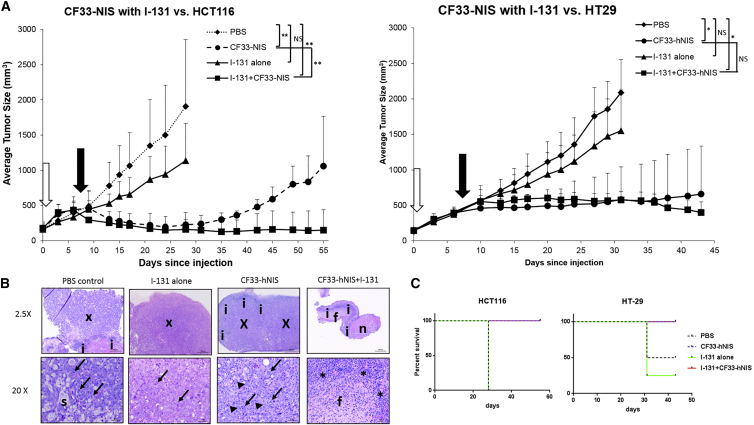 Figure 6