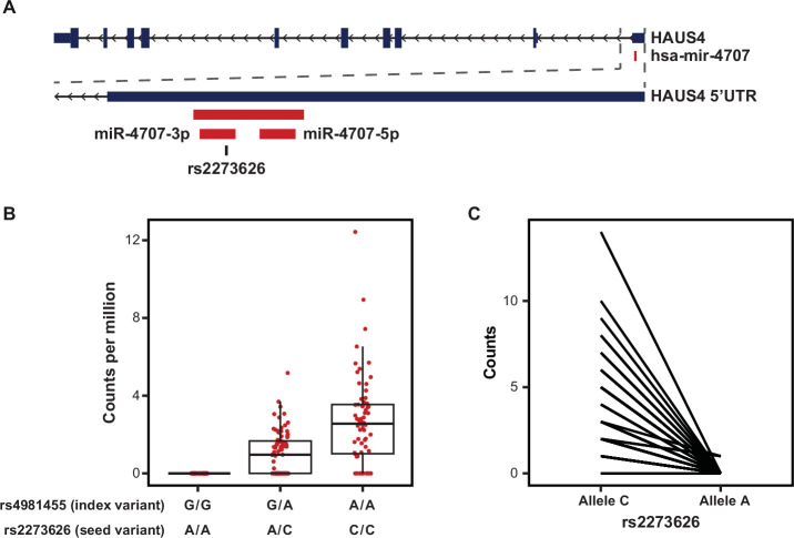 Figure 5—figure supplement 1.