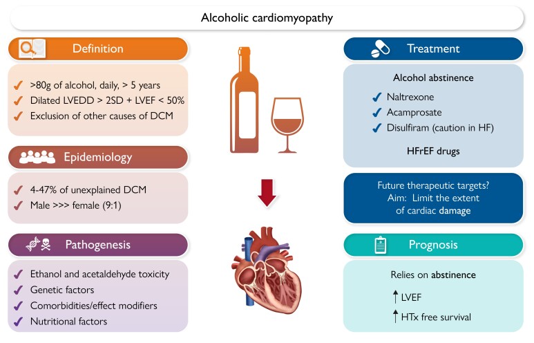 Graphical Abstract