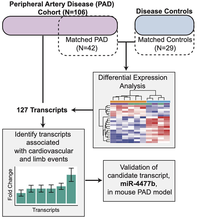 graphic file with name nihms-1675199-f0001.jpg