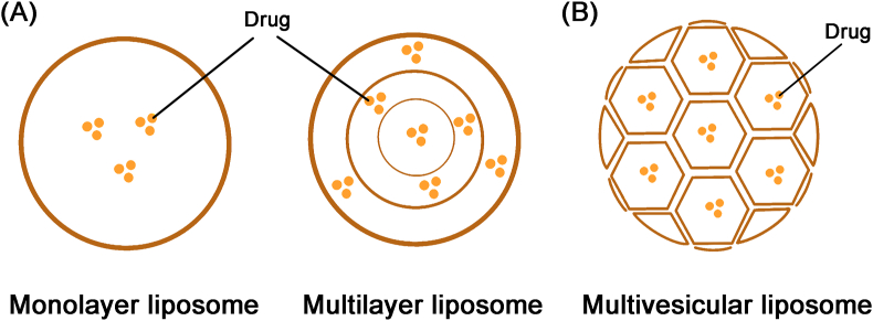 Figure 6