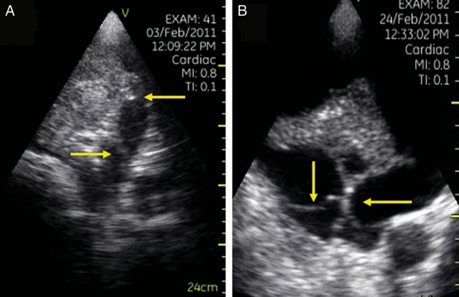 Figure 7: