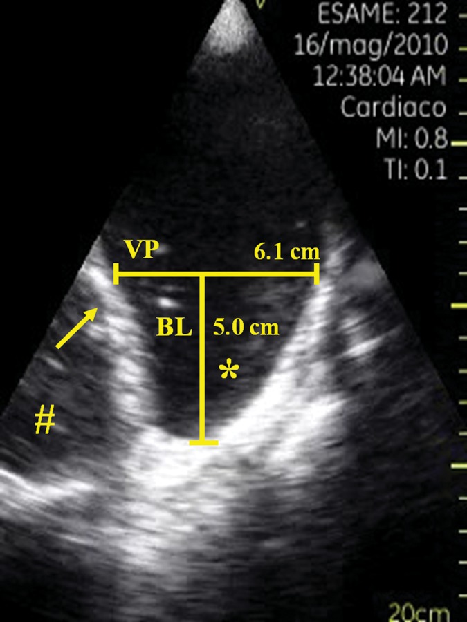 Figure 2: