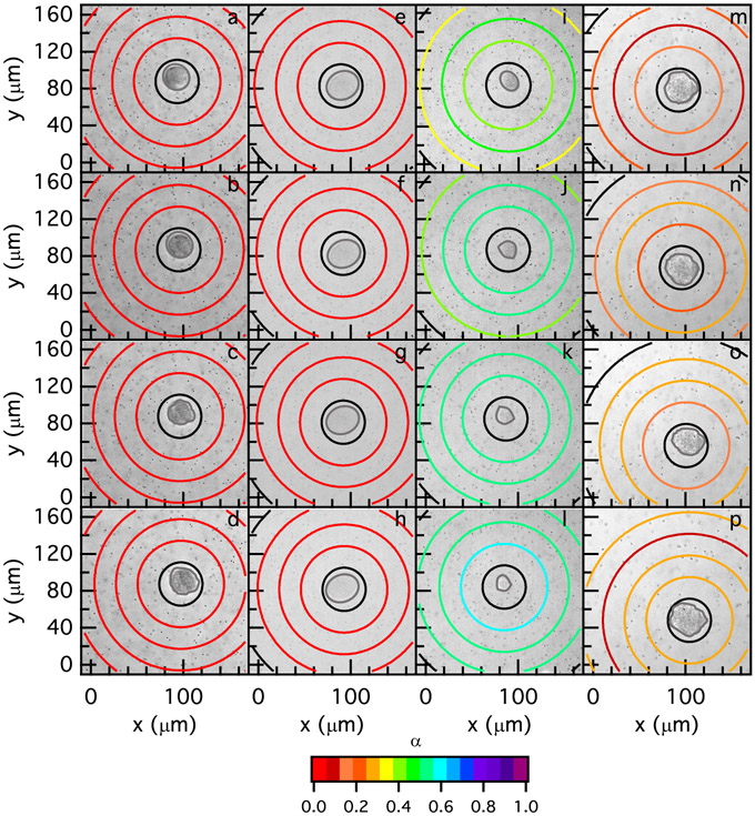 Figure 6: