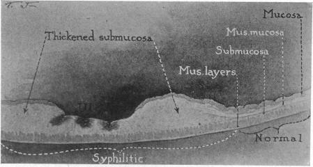 FIG. 8.