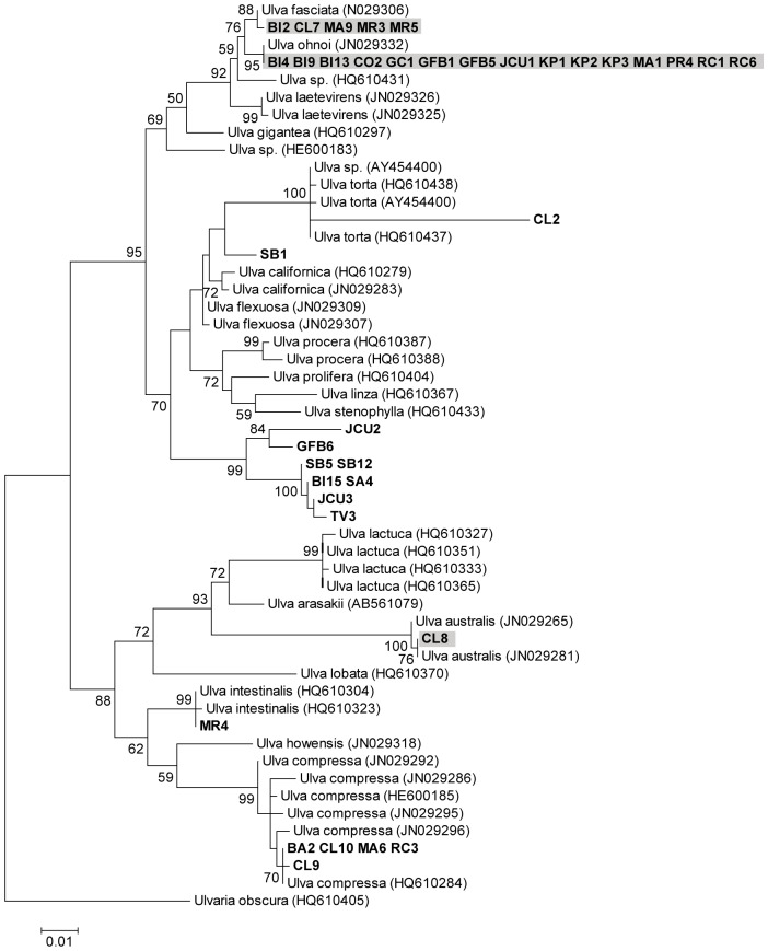 Figure 2