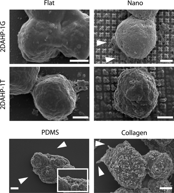 FIG. 4.