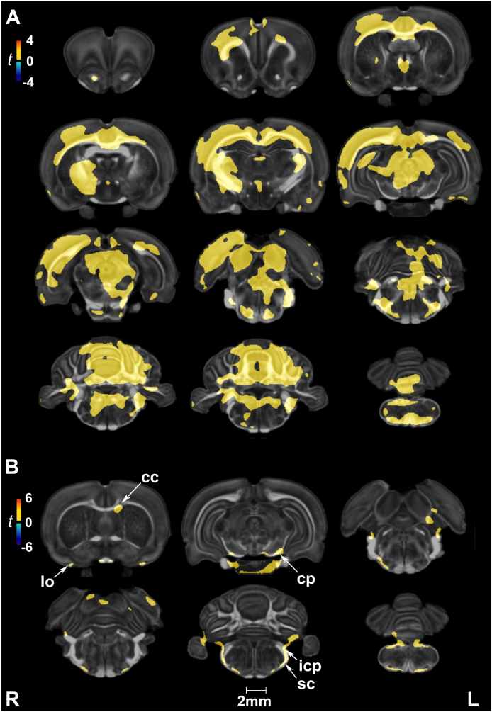 Suppl. Fig. 5