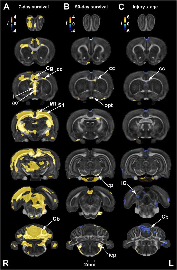 Suppl. Fig. 3