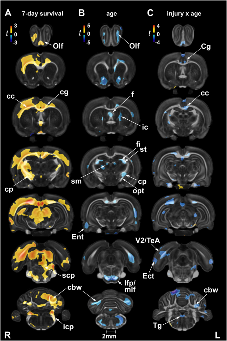 Suppl. Fig. 4