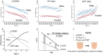 The natural history of myocardial function in an adult human population. A, Left ventricular end-diastolic volume (LVEDV) statistically significantly decreased over 10 years for each age category, and, B, LV mass increased in men, and, C, mass-to-volume (M/V) ratio increased despite the fact that LV mass did not progressively increase (B, D). E, Although stroke volume (SV) progressively falls, LV ejection fraction (LVEF) maintains due to progressive decline in LV volumes. F, Aging is associated with the development of a concentric remodeling pattern secondary to a progressive decline in LV volume. Figures prepared based on data from Eng et al (94) and Cheng et al (95). (Reprinted, under a CC-BY license, from reference 49.)