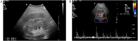 Fig 3 –
