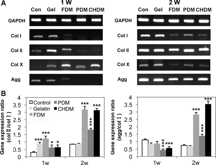 FIG. 6.