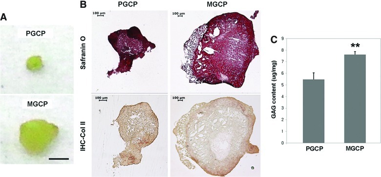 FIG. 8.