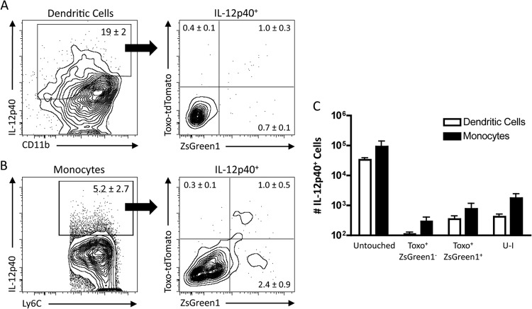 FIG 7