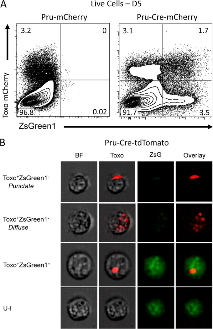 FIG 3