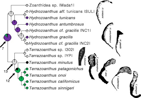 Fig. 6