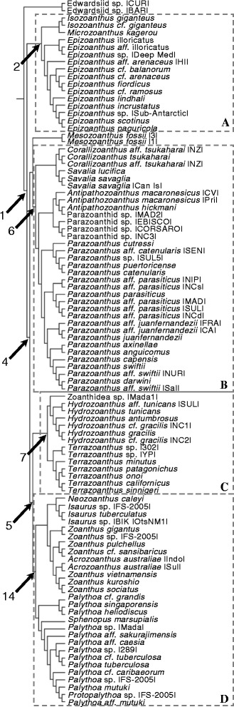 Fig. 3