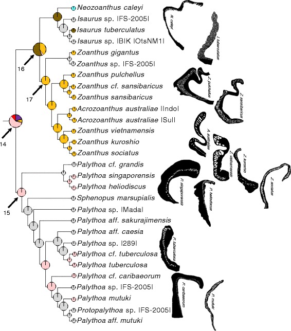 Fig. 7