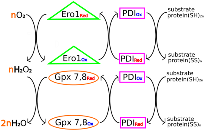 Fig. 2