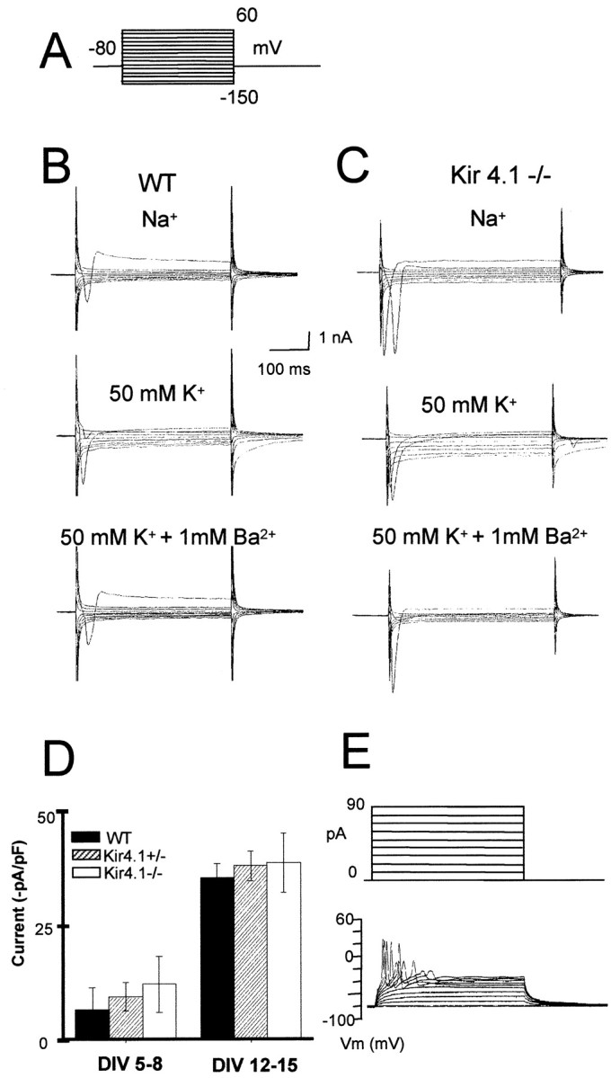 Fig. 9.