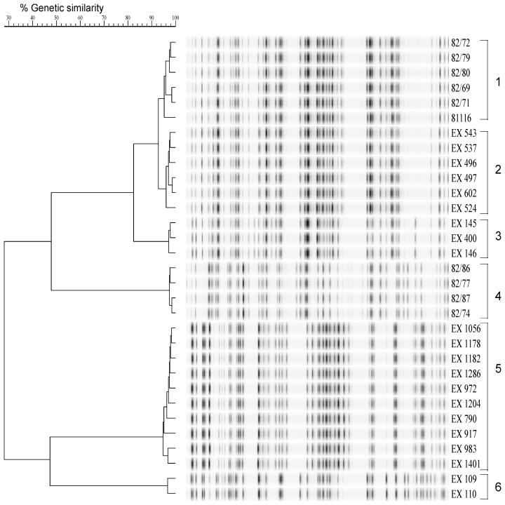 FIG. 1