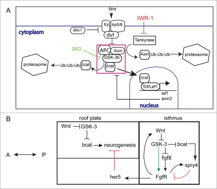 Figure 10.