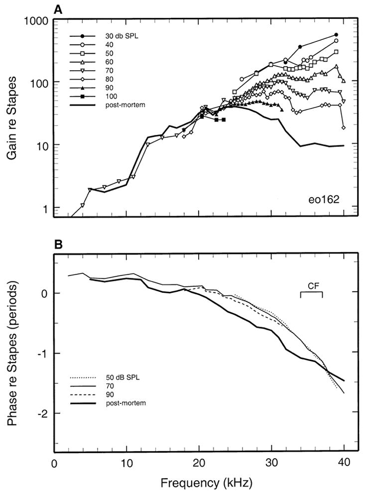 FIG. 5