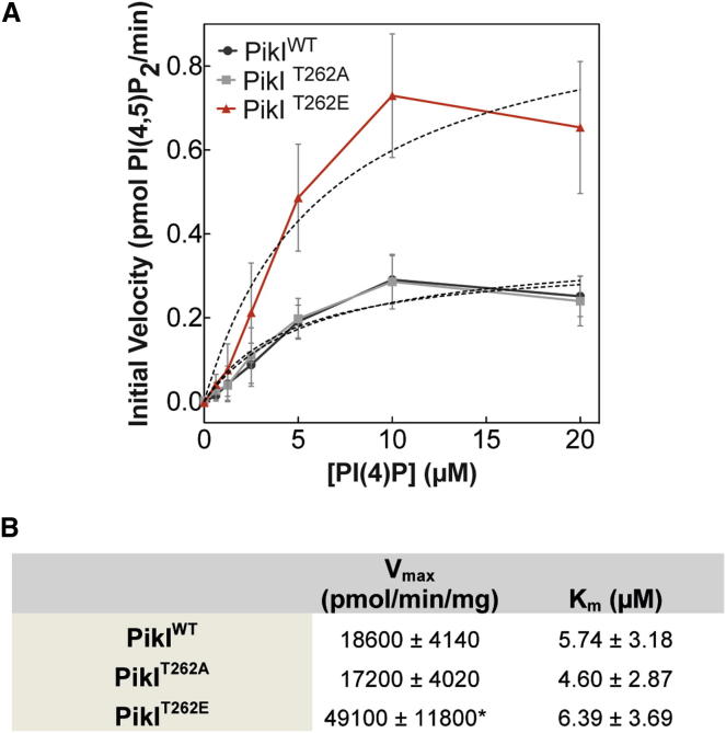 Figure 4