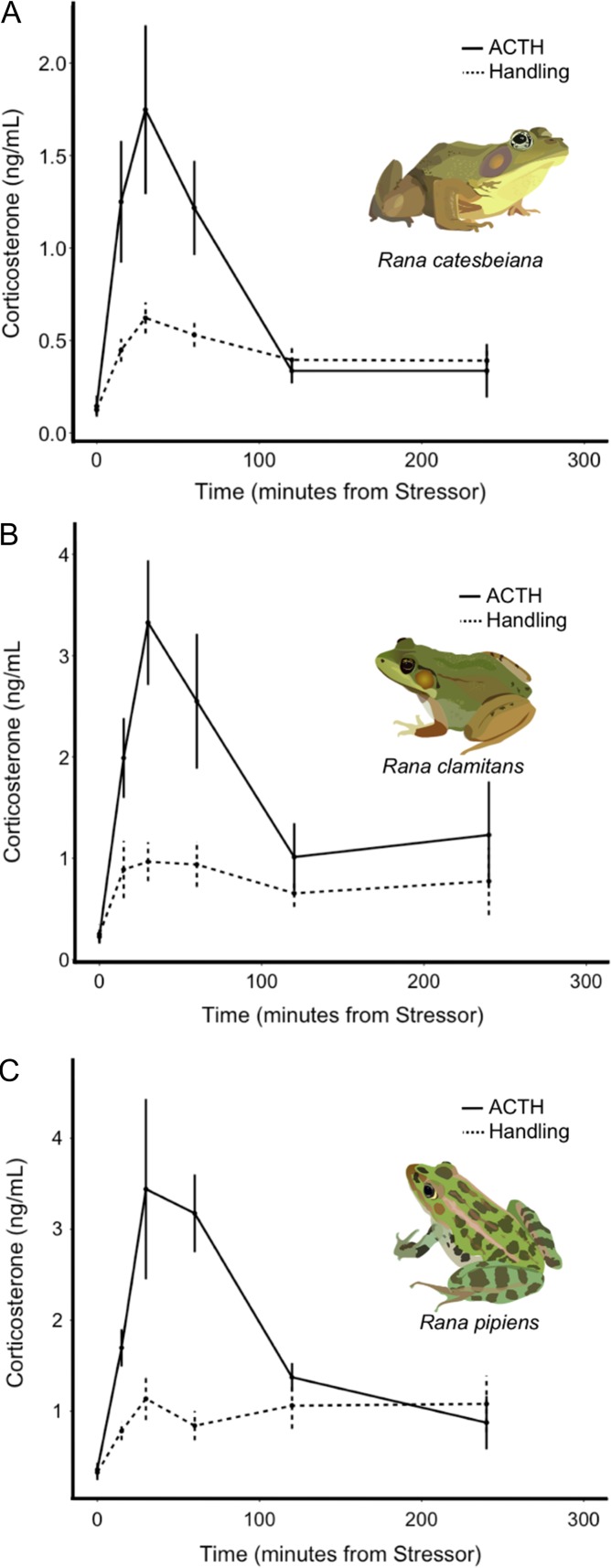 Figure 2: