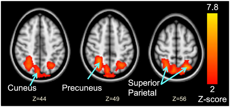 Fig. 4.