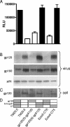 FIG. 6.