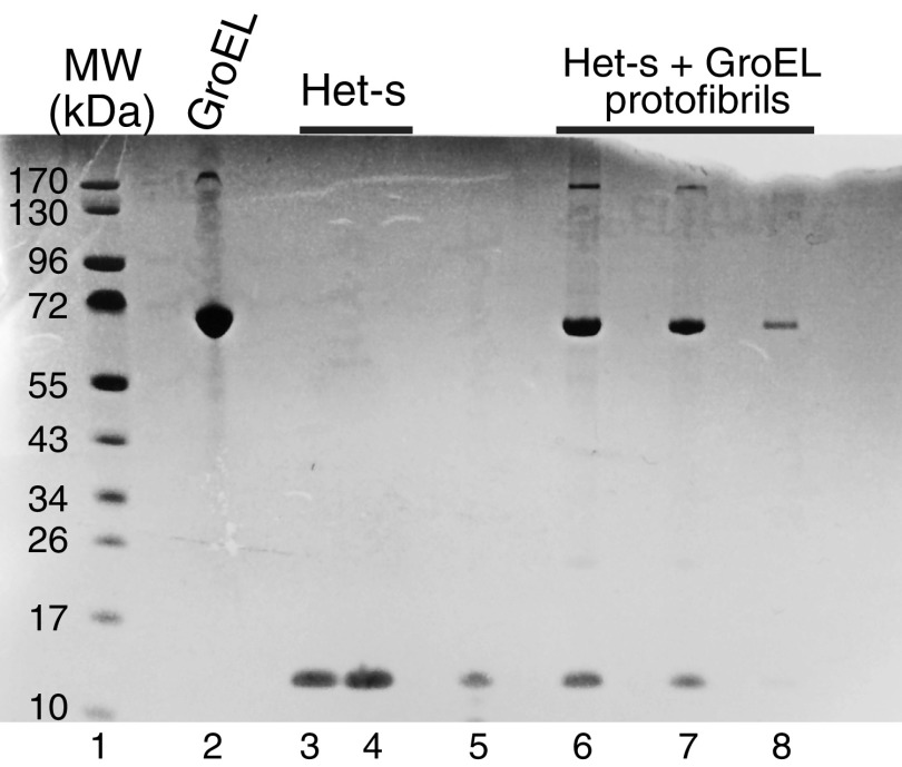 Fig. S2.