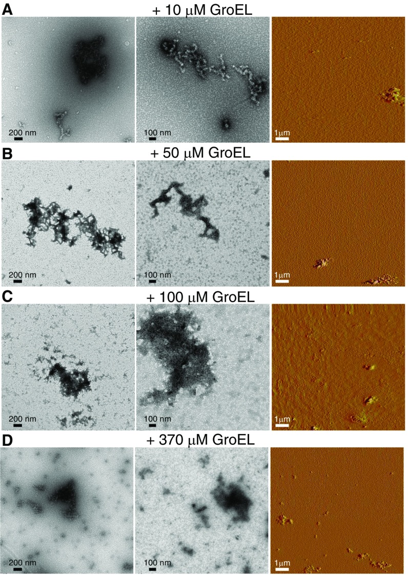 Fig. S1.