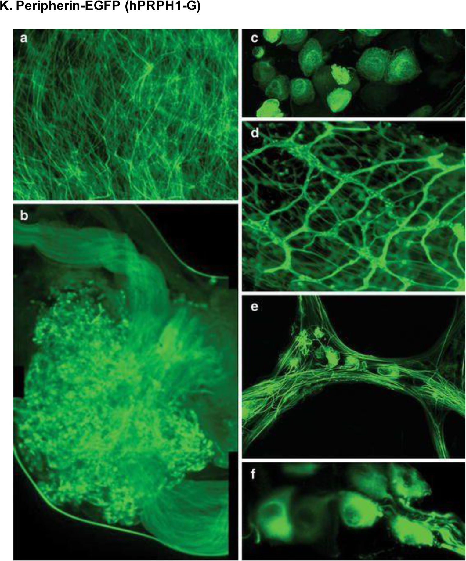 Figure 20.