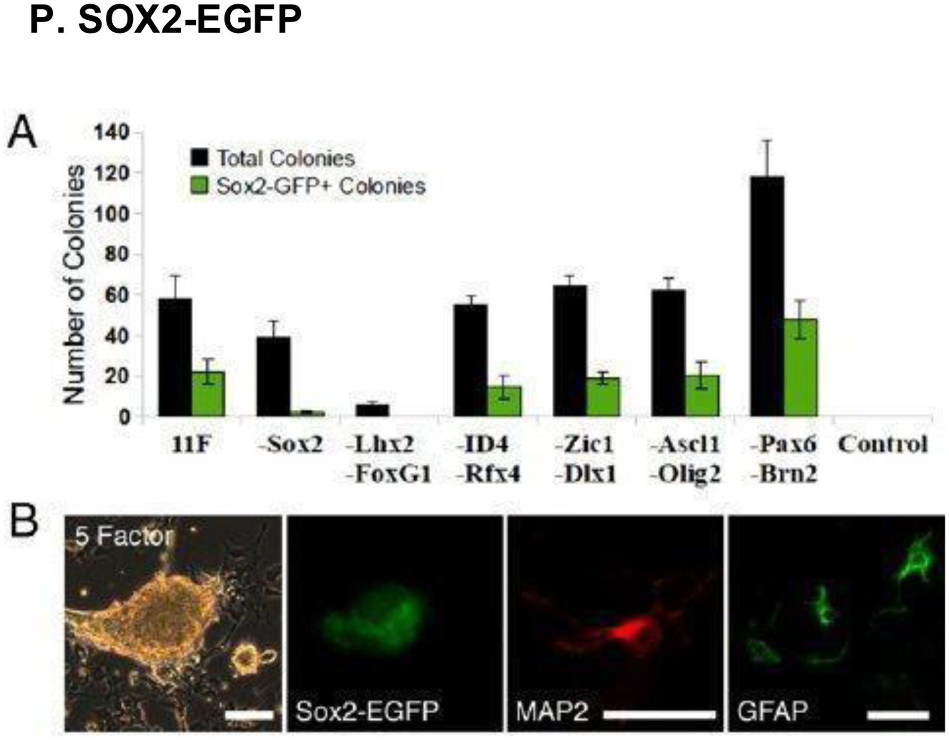 Figure 25.