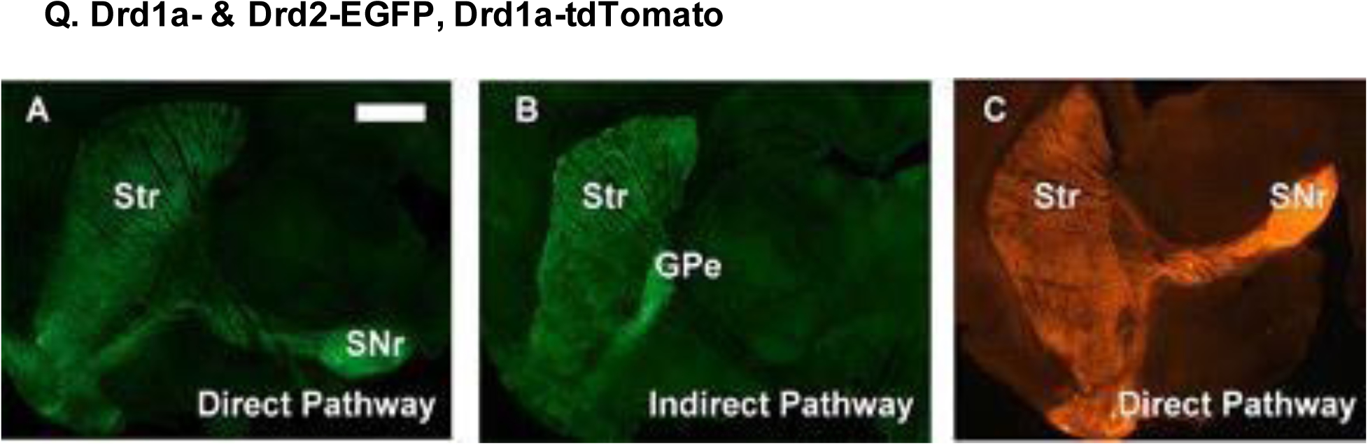 Figure 26.