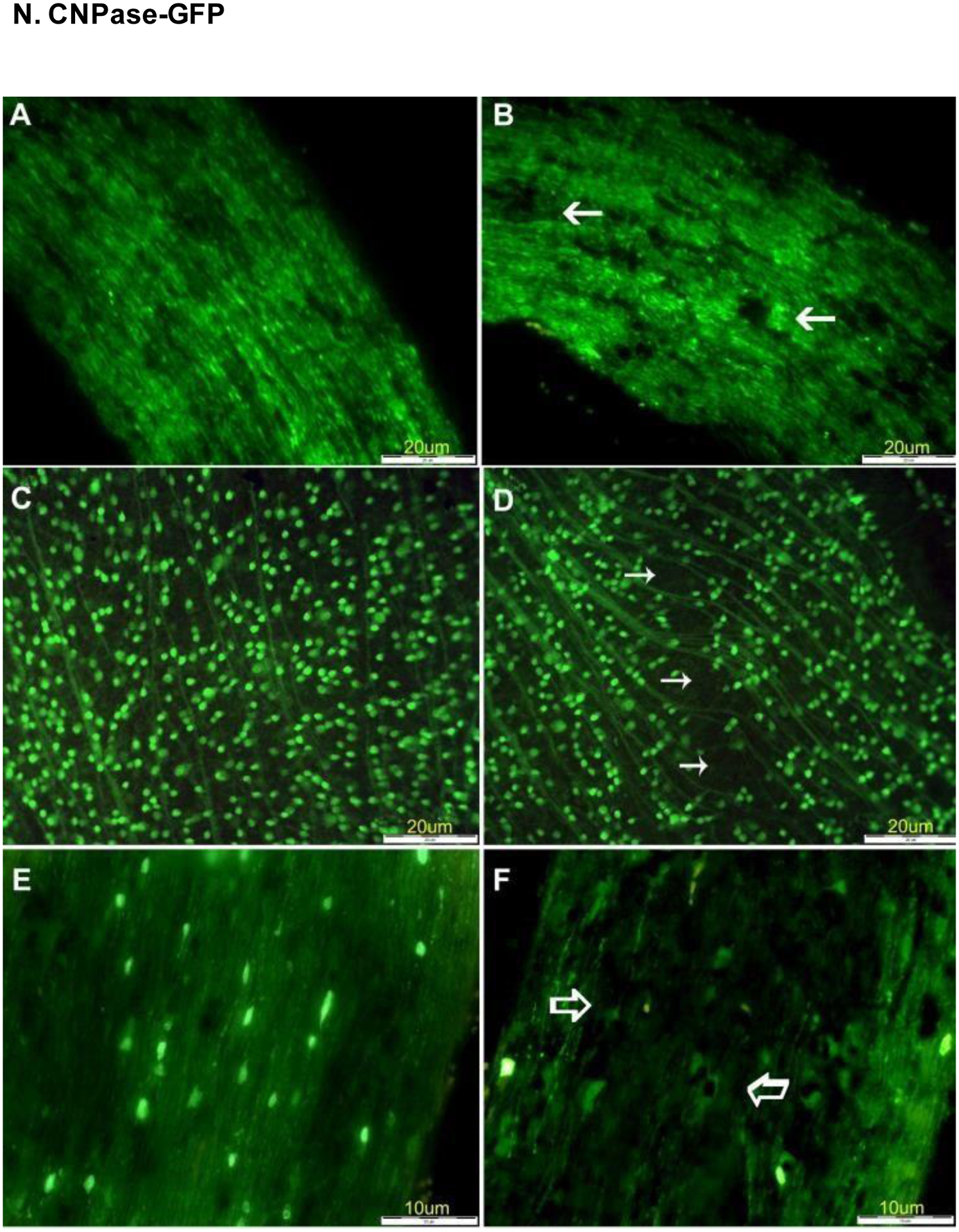 Figure 23.