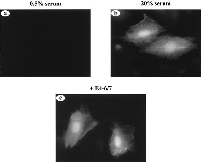 FIG. 6