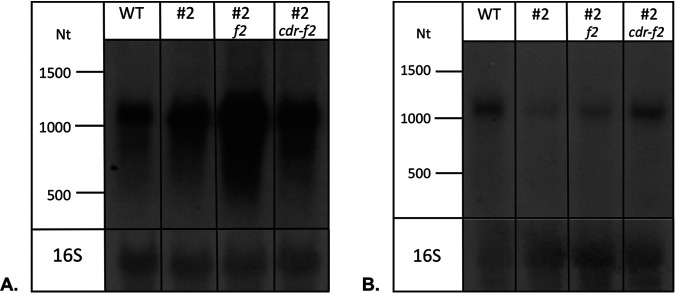 FIG 3