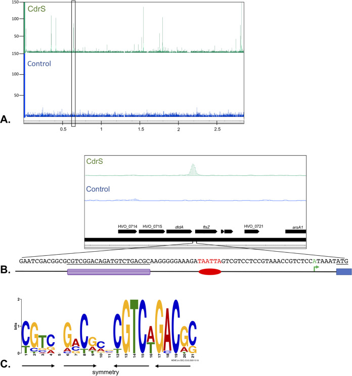 FIG 4