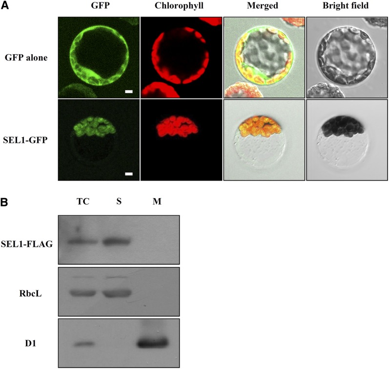 Figure 3.