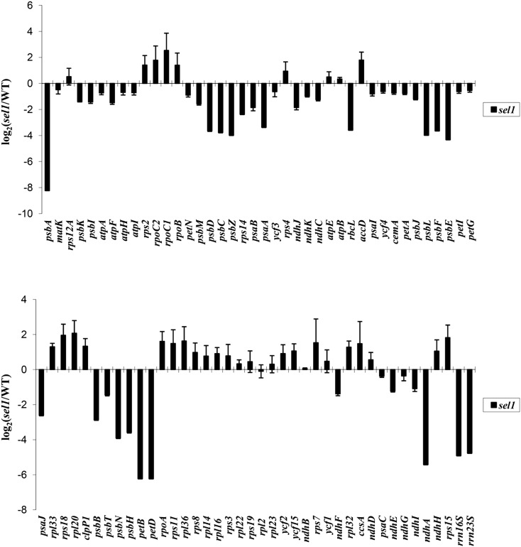 Figure 7.