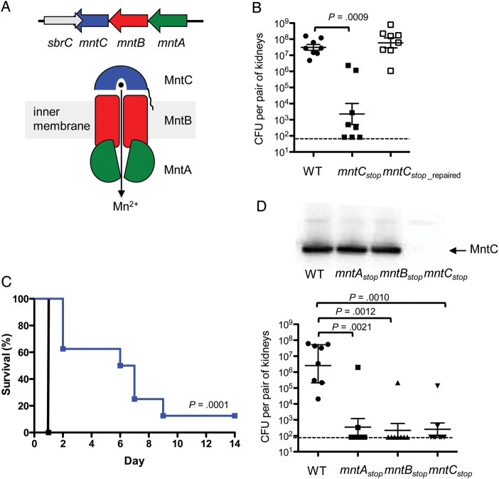 Figure 4.