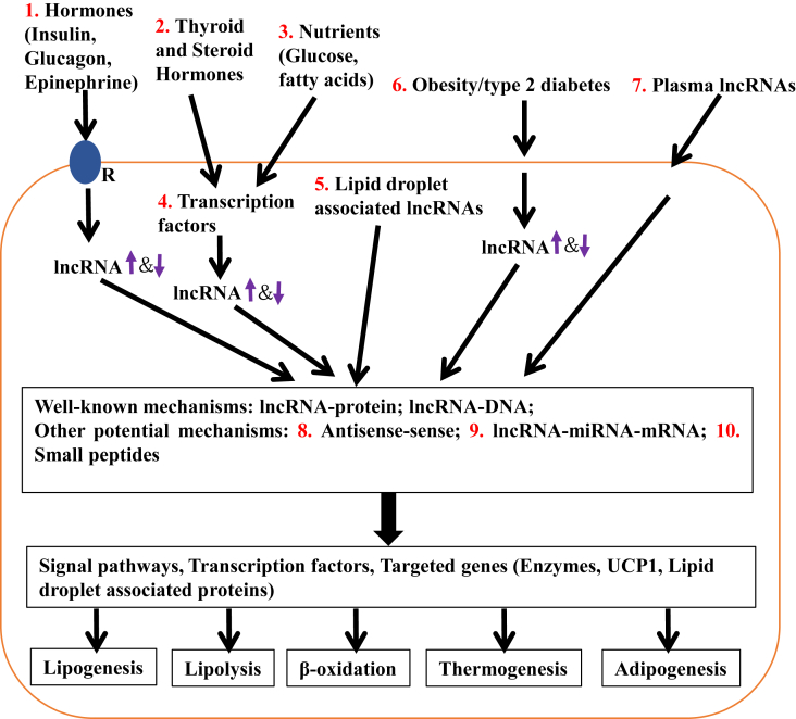 Figure 1