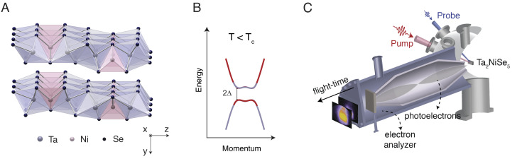 Fig. 1.