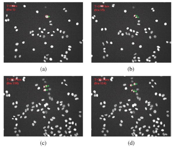 Fig. 12