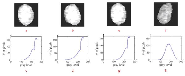 Fig. 6