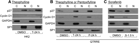 FIG. 7.