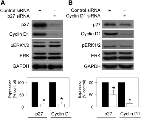 FIG. 8.